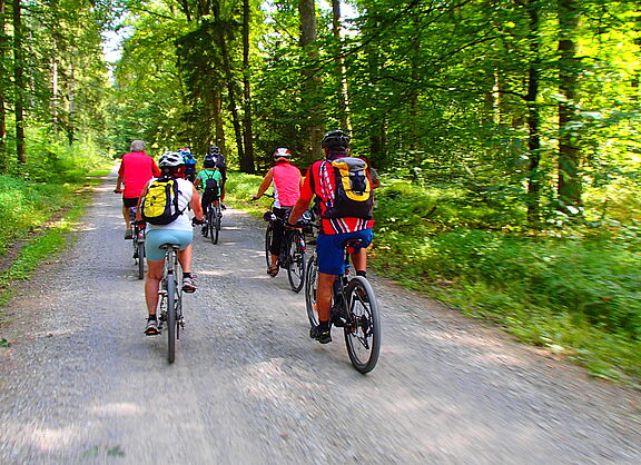 Schöne Tour durch den Fürstenwald bei Ochsenhausen